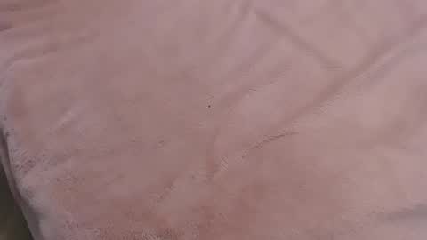 Snapshot of danadjuani chatting on 01.11.25 Danna Lovense is activeThere are legends that in this room all your wishes can come true Private is Open online show from 01.11.25