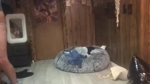 DanaMaris666 online show from 09.25.25