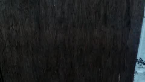 Nica online show from 10.02.25