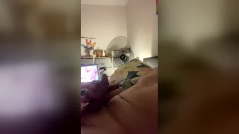 dangros438435 online show from 03.31.26