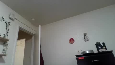 Snapshot of dani_alaska chatting on 02.24.25 Dani online show from 02.24.25