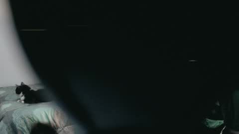 dani y jocelyn online show from 03.02.25