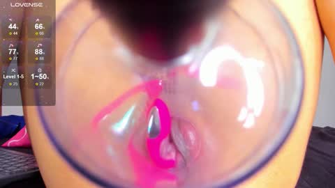 DANIA online show from 01.07.26