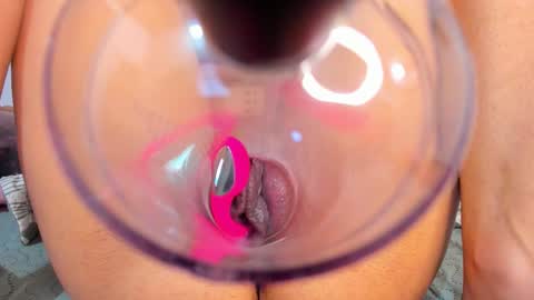 DANIA online show from 03.11.26