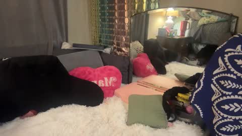 Dani Dragon online show from 02.05.25