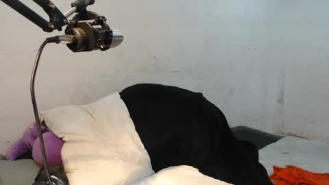 danielitopapii online show from 12.13.24