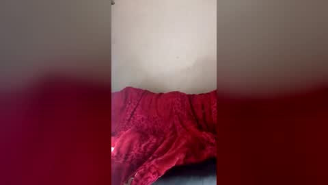 dandeb online show from 06.16.26