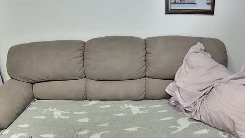 Snapshot of danniielll chatting on 11.17.25 HilmarZ online show from 11.17.25