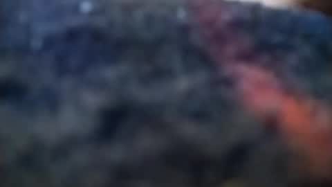 dannowisc online show from 02.20.26