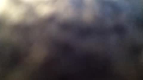 dannowisc online show from 03.01.26