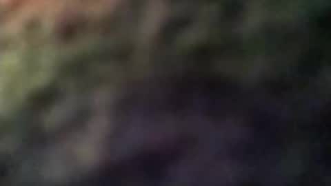 dannowisc online show from 04.08.26