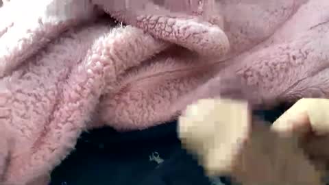 dannyboy621 online show from 11.10.25