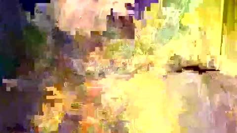 Snapshot of dano9696 chatting on 12.05.25 dano9696 online show from 12.05.25