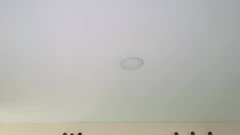 Dante online show from 02.13.25