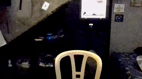 dany_kyng online show from 02.03.26