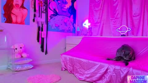 Daphne Madison online show from 02.10.26