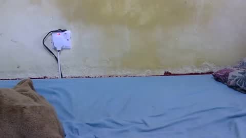 dark_princess1 online show from 02.13.26