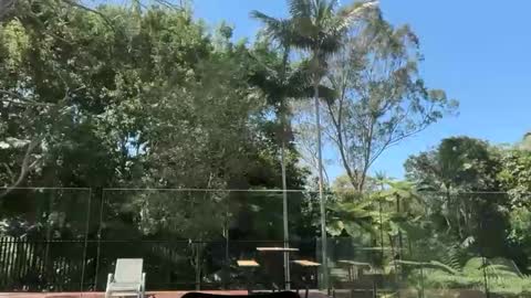 dartanian0001 online show from 09.30.25