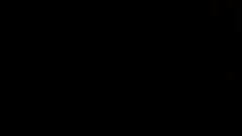 davdao3 online show from 04.06.26