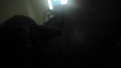 david089613 online show from 01.13.26