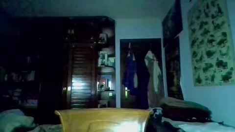 david33333333 online show from 03.09.25