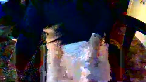 davidneedmore online show from 03.03.26