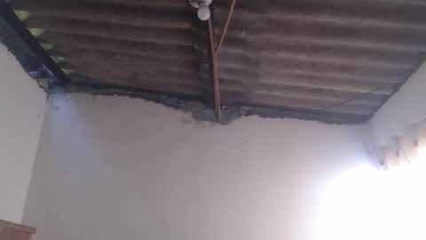 Dylon online show from 10.25.25