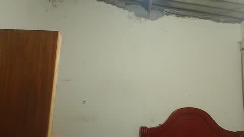 Dylon online show from 11.09.25