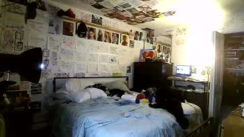 Snapshot of dbeamon92 chatting on 03.08.26 dbeamon92 online show from 03.08.26