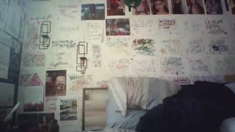 Snapshot of dbeamon92 chatting on 04.11.26 dbeamon92 online show from 04.11.26