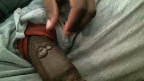 dbizzlenyc online show from 03.17.26