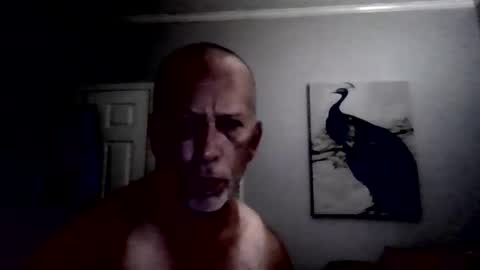 dcoester online show from 05.17.26