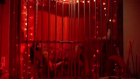 D Devours Kitty online show from 02.15.26