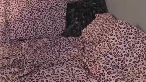 Snapshot of deadaux chatting on 02.21.26 deadaux online show from 02.21.26