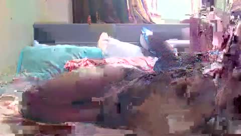 Snapshot of debbyslatter chatting on 02.21.25 debbyslatter online show from 02.21.25