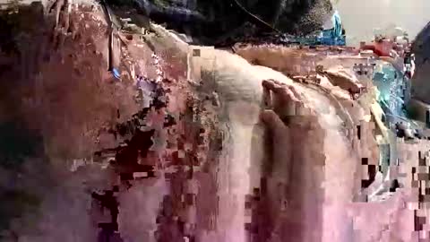 Snapshot of decoyx5o5 chatting on 01.09.25 decoyx5o5 online show from 01.09.25