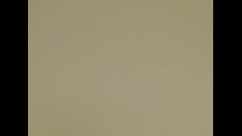 Deelightfull online show from 01.31.25