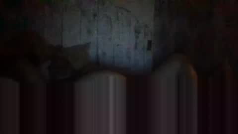 deepdiveme online show from 04.15.26