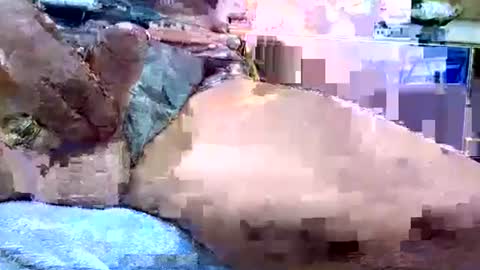 Dive Deep online show from 01.19.26