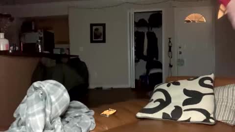  more content and goodies online show from 12.29.24