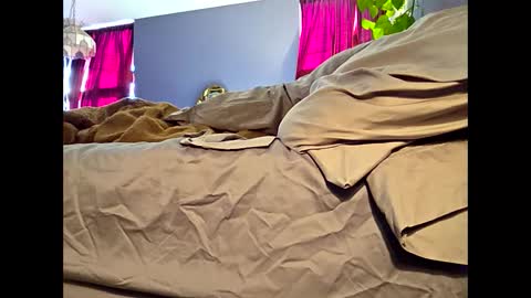 definitelymasterbating online show from 03.17.26