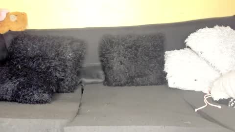 deli_la online show from 03.28.26