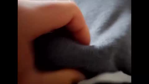 deliv_shopi online show from 12.01.25