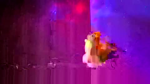 den2807 online show from 03.24.26