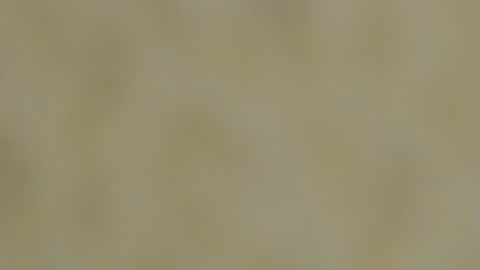 dennis munera online show from 12.07.24