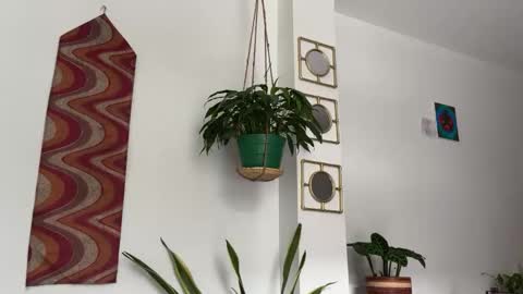 Desidias online show from 10.22.25