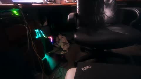 Snapshot of dfwgonewrong chatting on 02.04.25 dfwgonewrong online show from 02.04.25