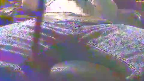 Snapshot of dfwgonewrong chatting on 11.03.25 dfwgonewrong online show from 11.03.25