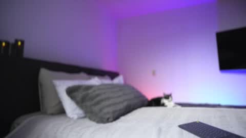 Snapshot of diagostone chatting on 11.26.25 Diego online show from 11.26.25