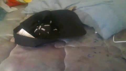 diamondeye112 online show from 12.23.25